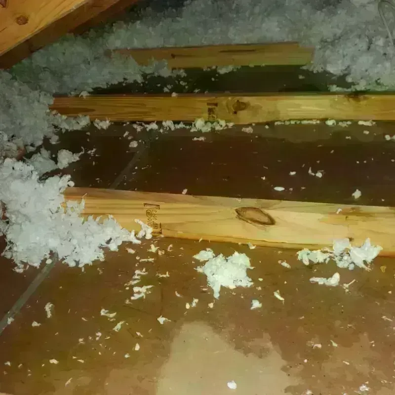 Attic Water Damage in Port Saint John, FL