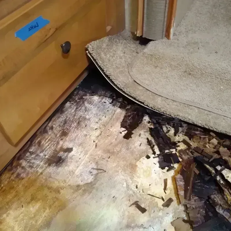 Wood Floor Water Damage in Port Saint John, FL